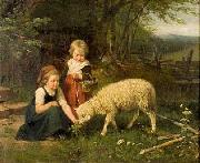 Rudolf Epp My pet lamb oil